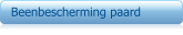 Beenbescherming paard